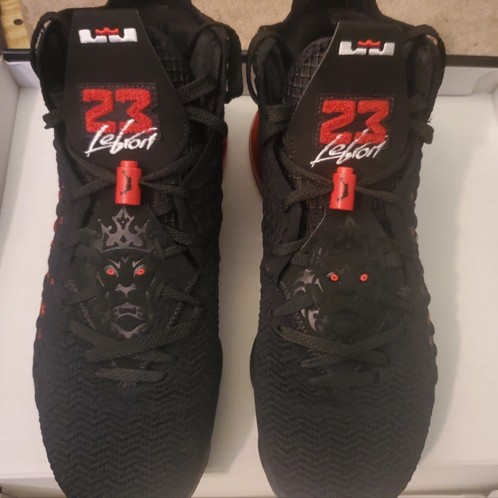 Nike lebron 17's